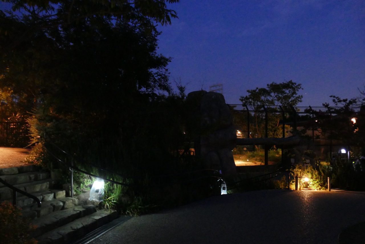 夜の動物園